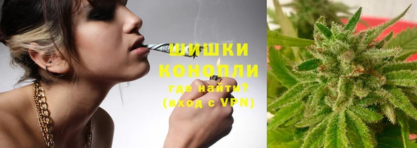 мдпв Липки
